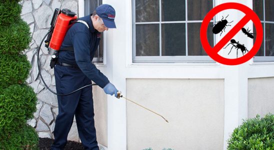 Yağcılar Fare İlaçlama böcek ilaçlama ve haşere kontrolü — ilaclama-tr.com